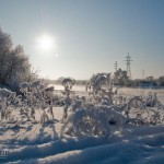 Мороз и солнце