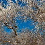 Невообразимо пронзительный синий цвет...фотографии не передать