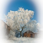 Дерево из "Аватара"