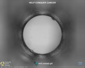 Скринсейвер BOINC (help cure cancer)