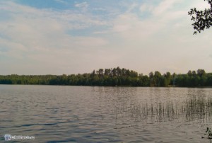 Озеро в Ленобласти