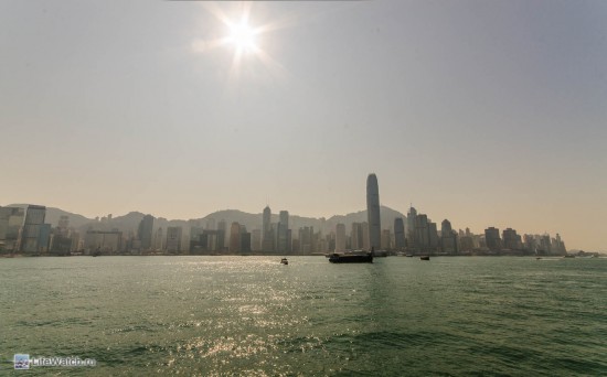 Вид на Гонконг со стороны Tsim Sha Tsui