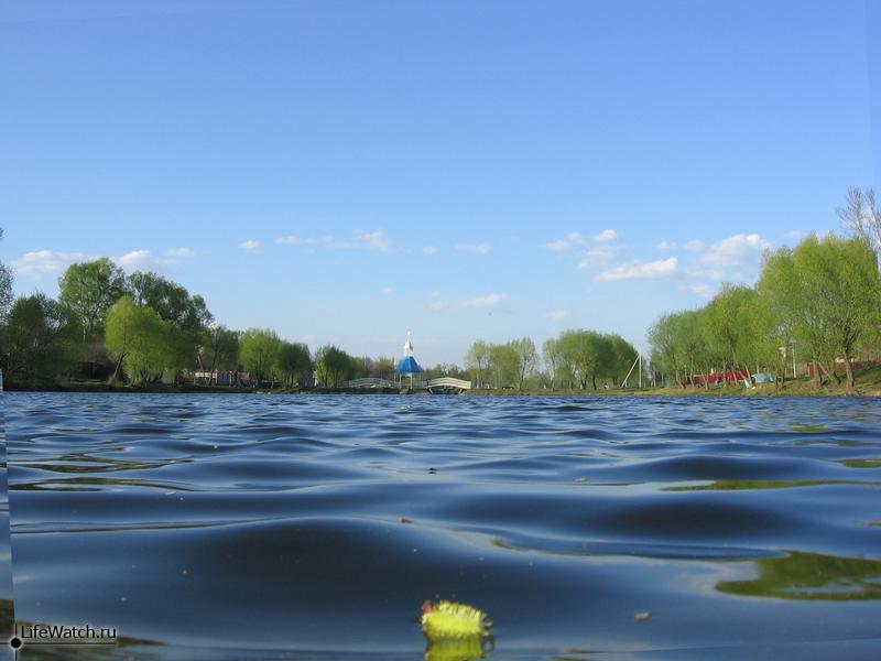 Фото Бронницы