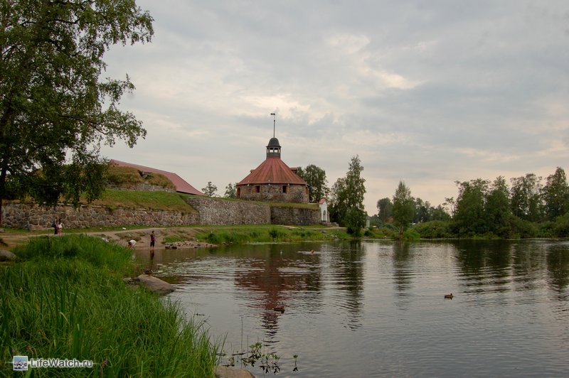 Карелия на машине